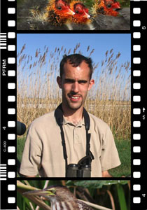 Bence Kókay photo
